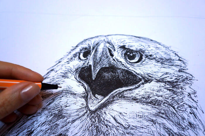 Orzeł 2 - szkic - rysunek, piórko