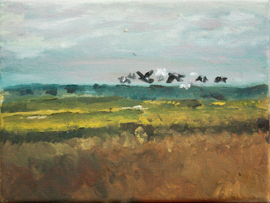 Ptaki nad polem - obraz olejny
