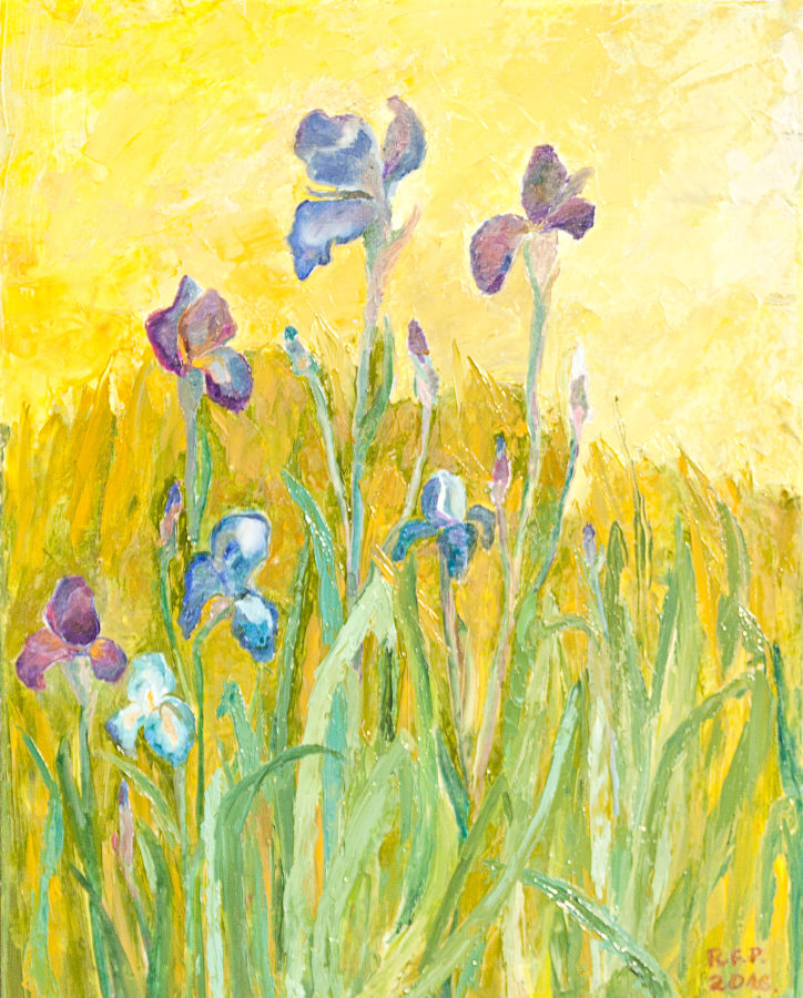 Łąka - obraz olejny