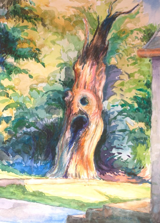 Barbara Glegoła, Starzec - akwarela, 21x30, 2017