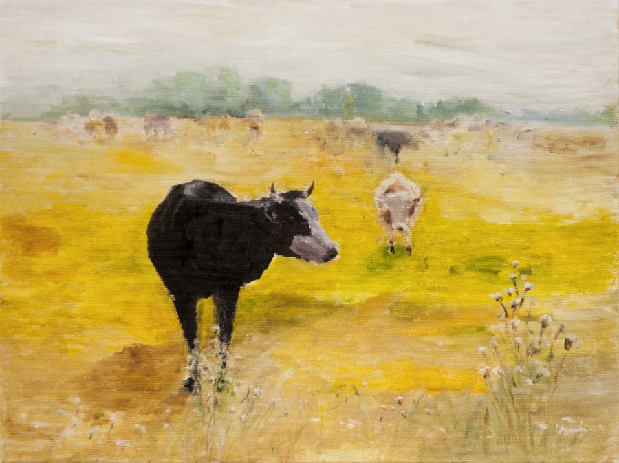 Dariusz Chramienko Pejzaż ze stadem