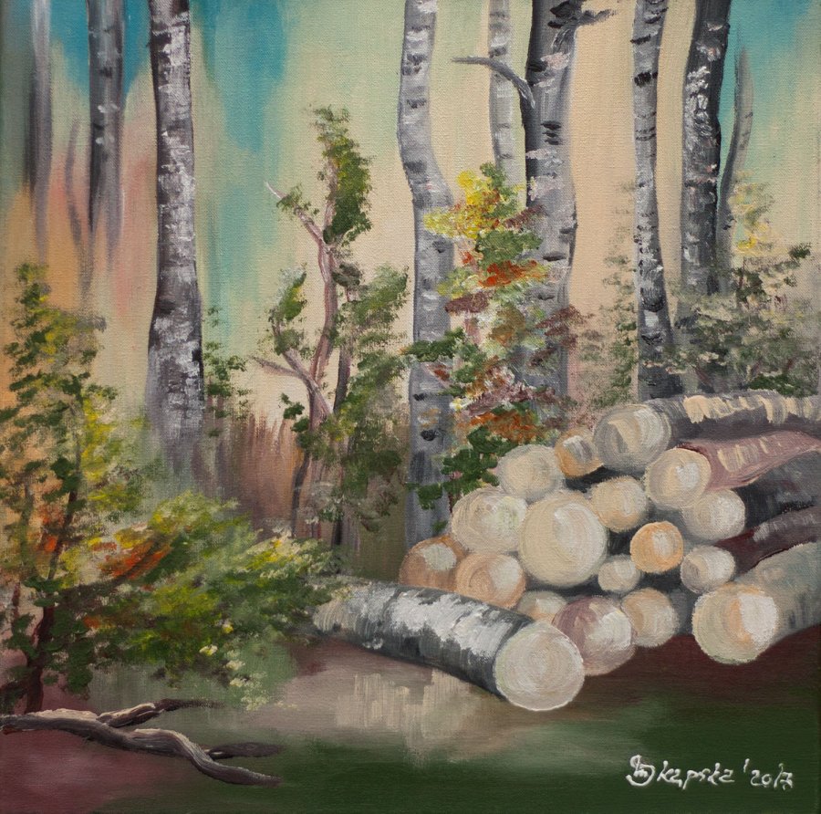 Joanna Skąpska_Brzozy, 2017